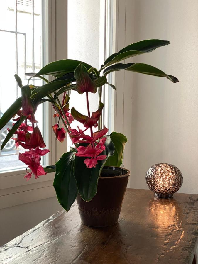 Casimiro Home 체세나 외부 사진